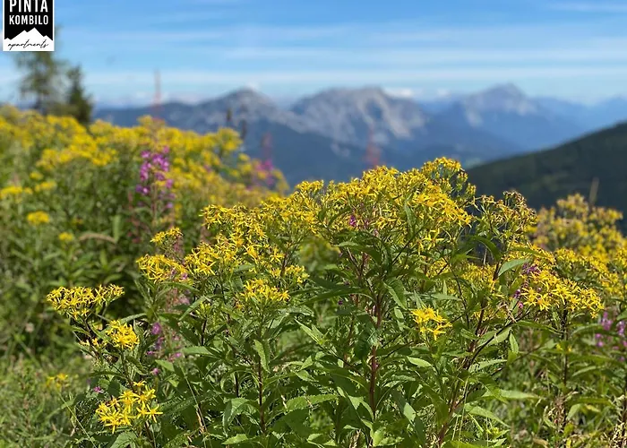 Pinta Kombilo * غوربمينغ